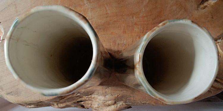 Gustave de Bruyn Pair of Art Nouveau slip vases