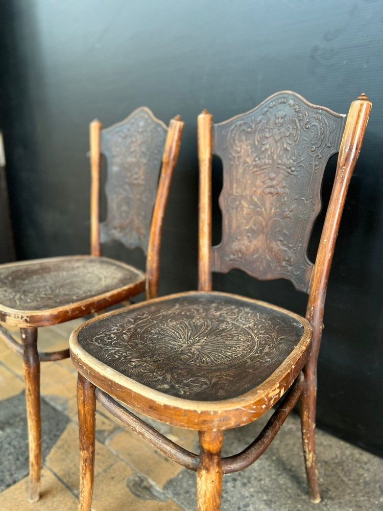 Viele Paare von Stühlen im Thonet-Stil