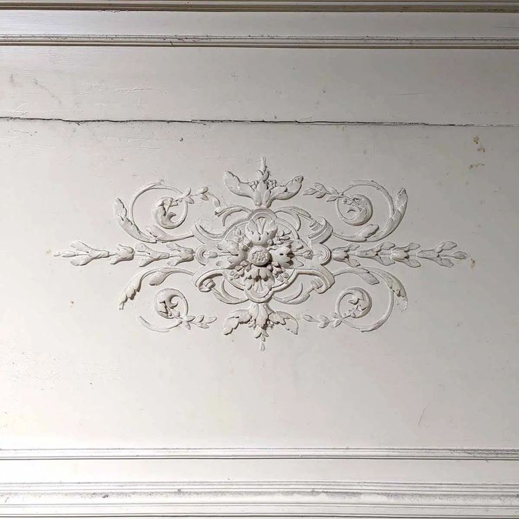 Set of wood paneling with its trumeau