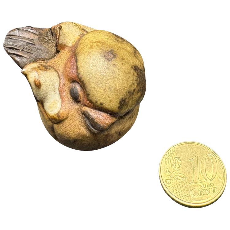 PICCOLO UCCELLO 
