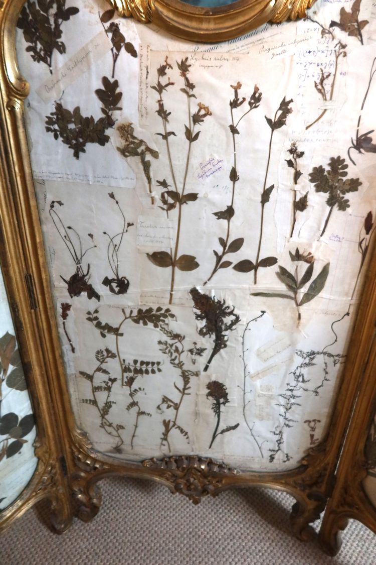 Paravento in legno dorato in stile Luigi XV, XIX secolo