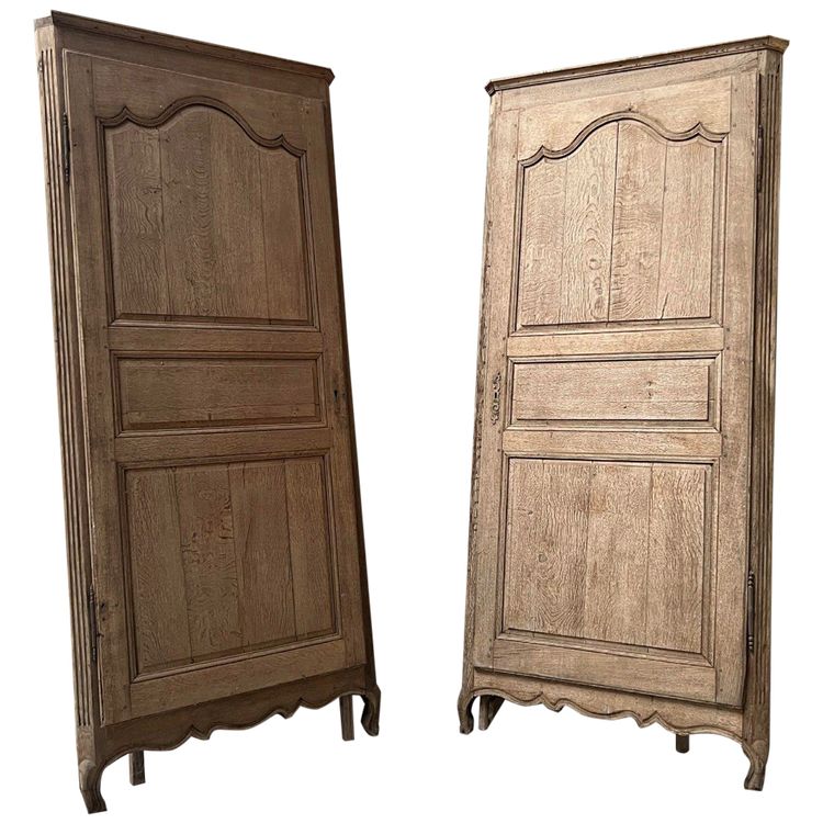 Paire De Portes De Placard Avec Bâti