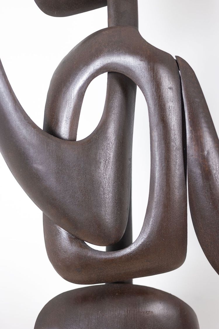 Antonino di San Pietro. Scultura in metallo curvato. Opera contemporanea. LS62278160