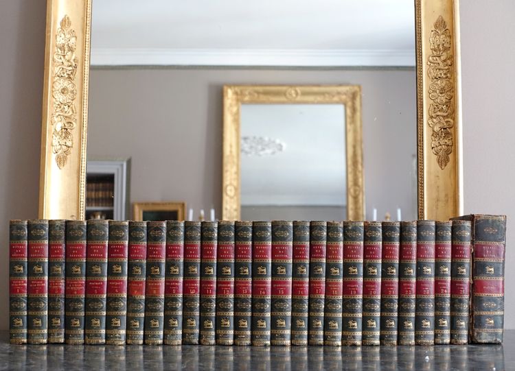 L'Histoire Naturelle de Buffon, 26 volumes et planches colorisées - belle reliure cuir - 1829