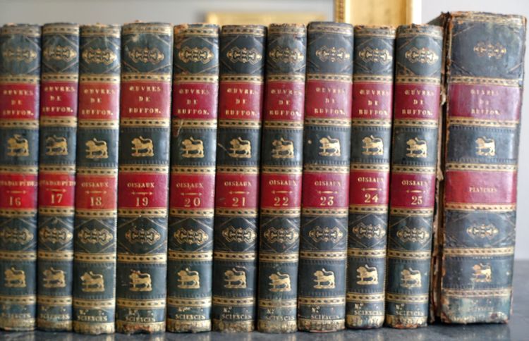 L'Histoire Naturelle de Buffon, 26 volumes et planches colorisées - belle reliure cuir - 1829
