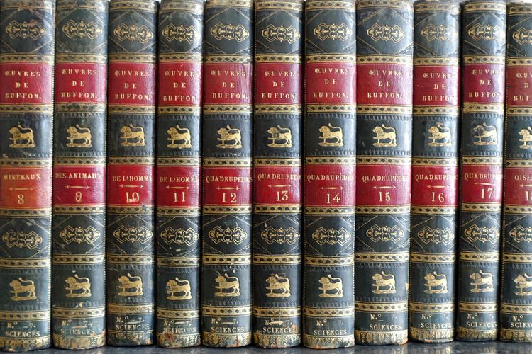 L'Histoire Naturelle de Buffon, 26 volumes et planches colorisées - belle reliure cuir - 1829