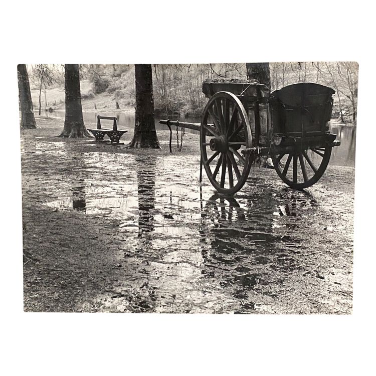 Fotografie Bernard Darot AFIAP XXe Photo Club Nantais Herbst