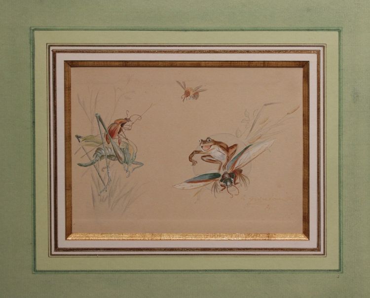 Humorous study 'Frog and insects' gouache drawing signed circa 1920