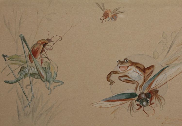 Humorous study 'Frog and insects' gouache drawing signed circa 1920