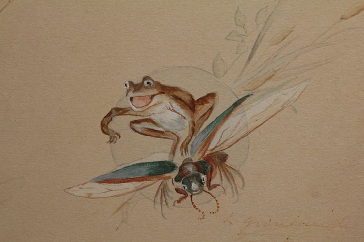 Humorous study 'Frog and insects' gouache drawing signed circa 1920