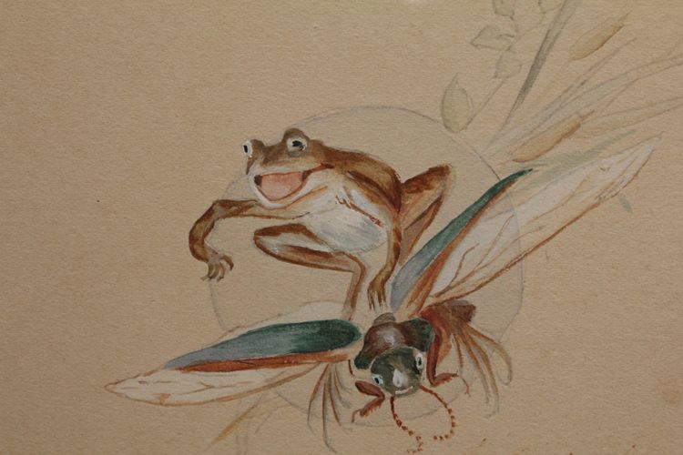Humorous study 'Frog and insects' gouache drawing signed circa 1920