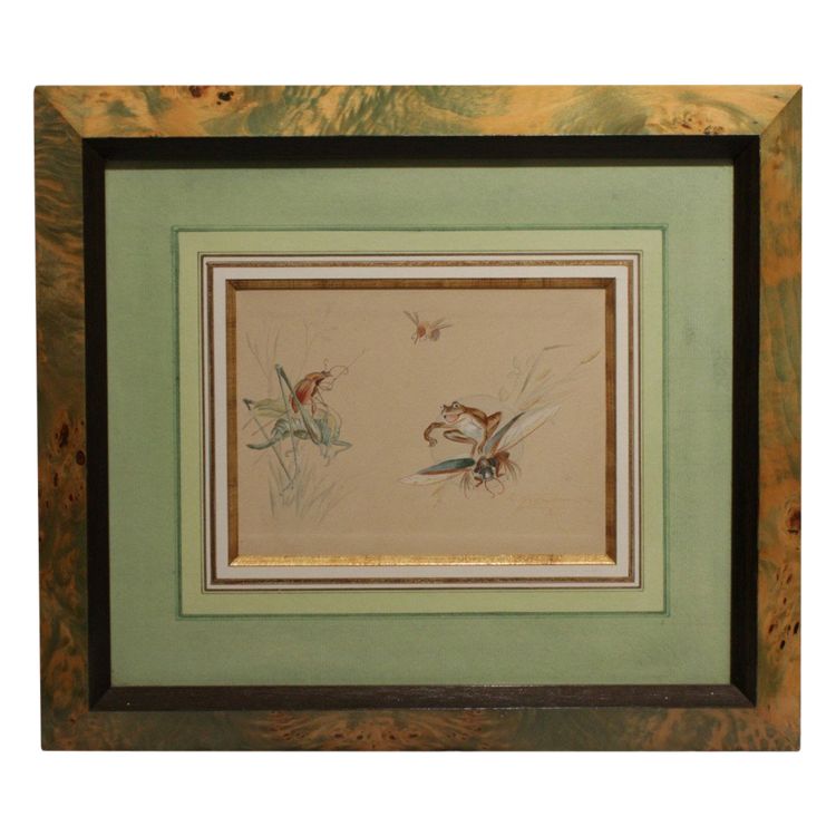 Humorous study 'Frog and insects' gouache drawing signed circa 1920